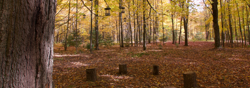 Activities Events Les Jardins De Lavande Ar Mes Et Saveurs