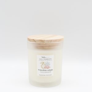 Bougie de Soya Premières Neiges Poire et Canneberge